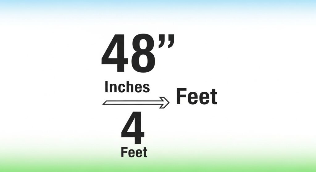 48 Inches in Feet